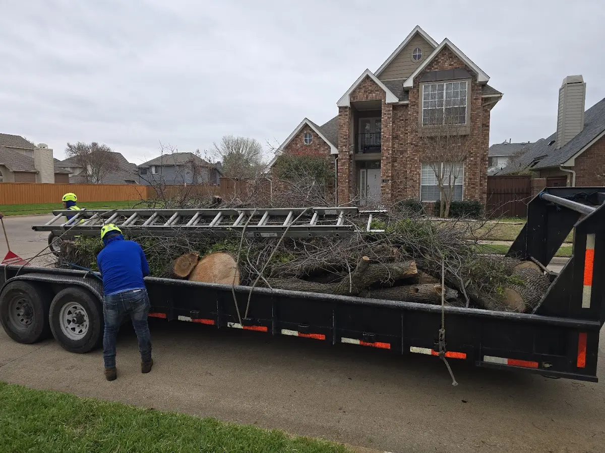 Expert Tree Fertilization with proper safety equipment in Livermore